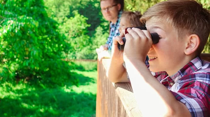 Ortsranderholung Waldbreitbach - Ferienfreizeit