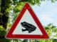 Straßensperrung wegen Krötenwanderung