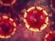 Coronavirus - Das Kreisgesundheitsamt informiert