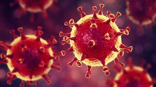 Coronavirus - Das Kreisgesundheitsamt informiert