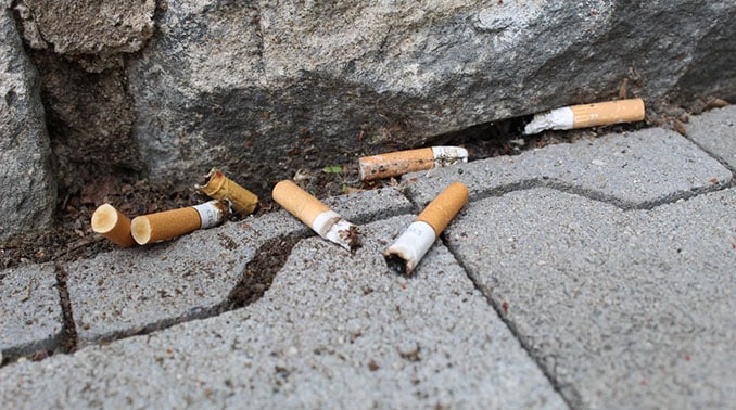 So gefährlich sind Zigarettenstummel