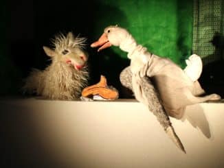 Puppentheater Petra Schuff: Vom kleinen Maulwurf, der wissen wollte, wer ihm auf den Kopf gemacht hat